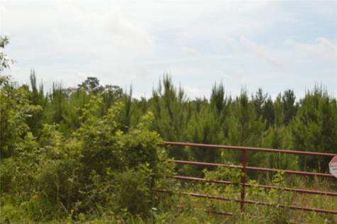 0 Radial Fm 943 Livingston TX 77351
