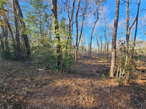 Lot 4 Sherwood Drive Shepherd TX 77371