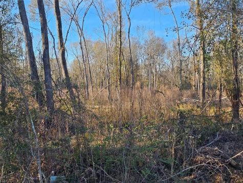 Lot 4 Sherwood Drive Shepherd TX 77371