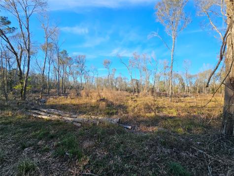 Lot 4 Sherwood Drive Shepherd TX 77371