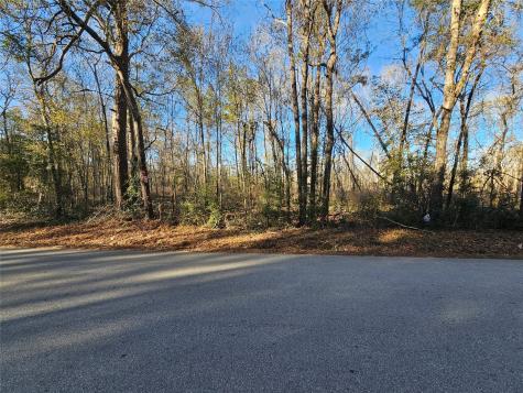 Lot 4 Sherwood Drive Shepherd TX 77371