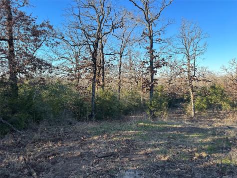 Tbd 13 Ac Pr 387 Field Buffalo TX 75831