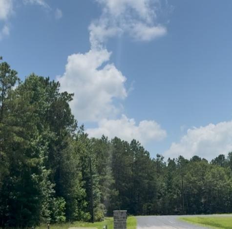 17647 Julianne Drive Waller TX 77484