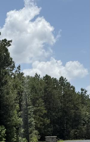 17647 Julianne Drive Waller TX 77484