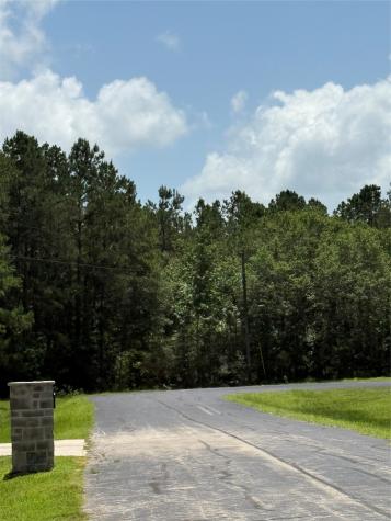 17647 Julianne Drive Waller TX 77484