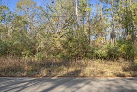 Tbd Cr 201 Road Plantersville TX 77363