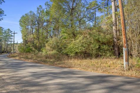 Tbd Cr 201 Road Plantersville TX 77363