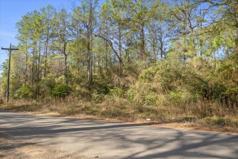 Tbd Cr 201 Road Plantersville TX 77363