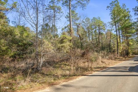 Tbd Cr 201 Road Plantersville TX 77363