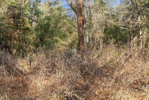 Tbd Cr 201 Road Plantersville TX 77363