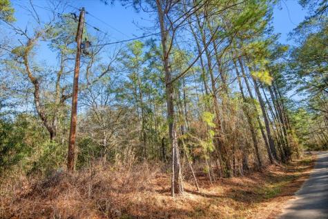 Tbd Cr 201 Road Plantersville TX 77363