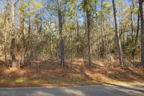 Tbd Cr 201 Road Plantersville TX 77363