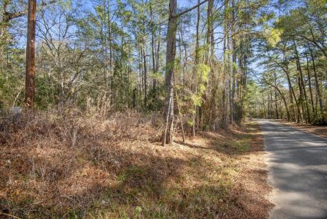 Tbd Cr 201 Road Plantersville TX 77363