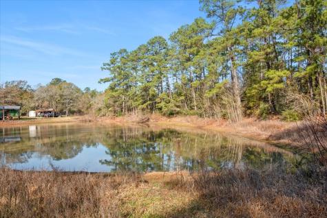Tbd Cr 201 Road Plantersville TX 77363