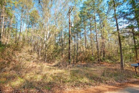 Tbd Cr 201 Road Plantersville TX 77363