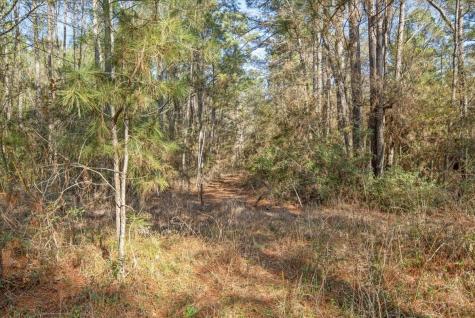 Tbd Cr 201 Road Plantersville TX 77363