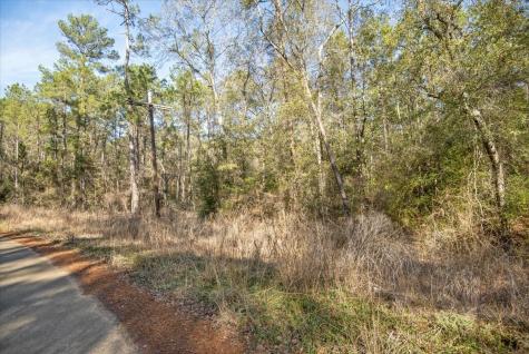 Tbd Cr 201 Road Plantersville TX 77363