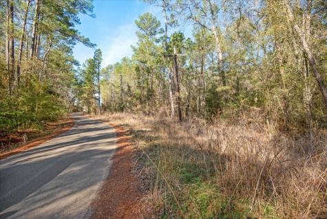 Tbd Cr 201 Road Plantersville TX 77363