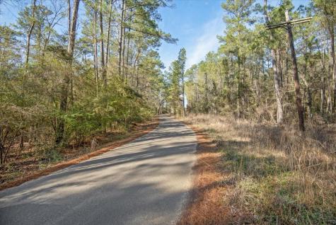 Tbd Cr 201 Road Plantersville TX 77363