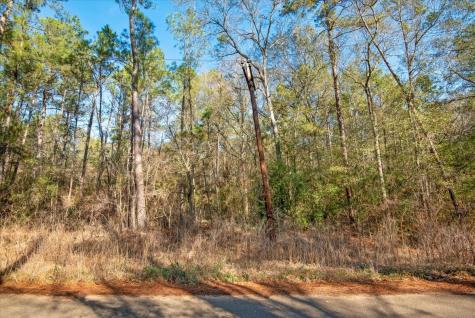 Tbd Cr 201 Road Plantersville TX 77363