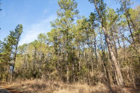 Tbd Cr 201 Road Plantersville TX 77363