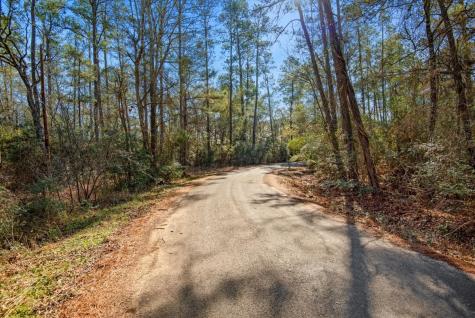 Tbd Cr 201 Road Plantersville TX 77363