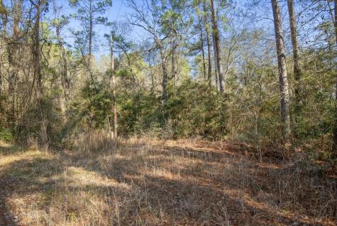 Tbd Cr 201 Road Plantersville TX 77363