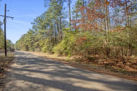 Tbd Cr 201 Road Plantersville TX 77363