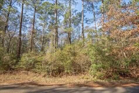 Tbd Cr 201 Road Plantersville TX 77363