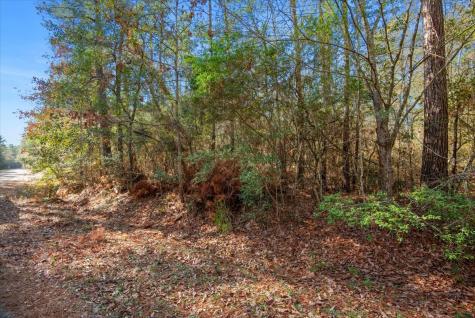 Tbd Cr 201 Road Plantersville TX 77363