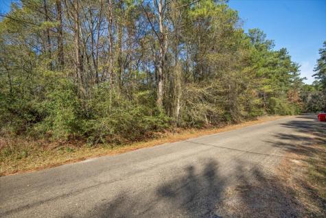 Tbd Cr 201 Road Plantersville TX 77363