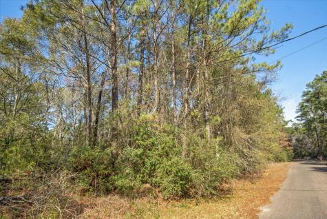 Tbd Cr 201 Road Plantersville TX 77363