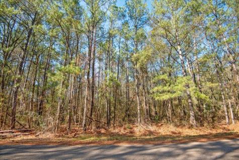 Tbd Cr 201 Road Plantersville TX 77363