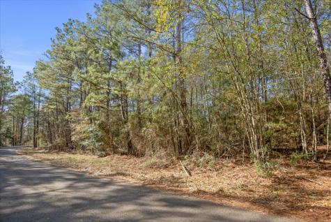 Tbd Cr 201 Road Plantersville TX 77363