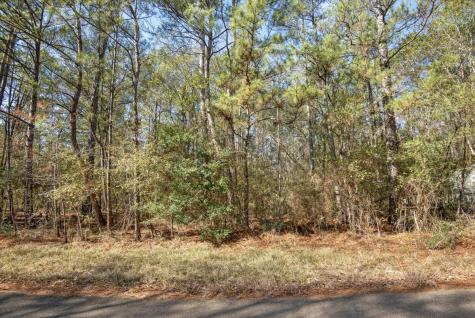Tbd Cr 201 Road Plantersville TX 77363