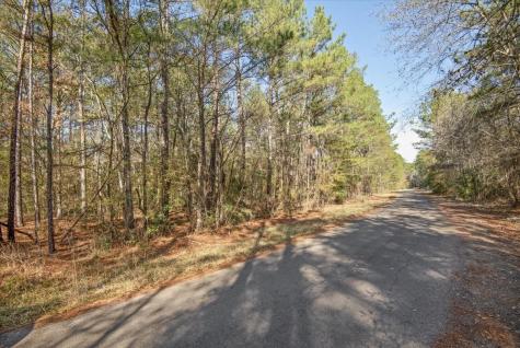 Tbd Cr 201 Road Plantersville TX 77363