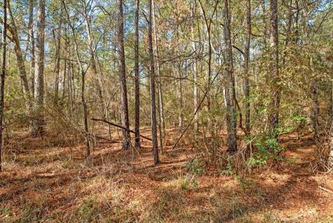 Tbd Cr 201 Road Plantersville TX 77363