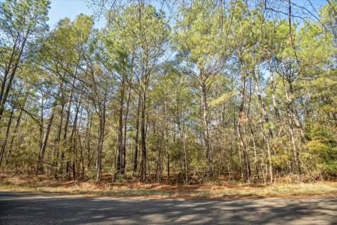 Tbd Cr 201 Road Plantersville TX 77363