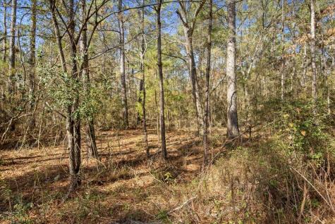 Tbd Cr 201 Road Plantersville TX 77363