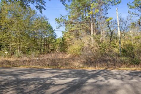 Tbd Cr 201 Road Plantersville TX 77363