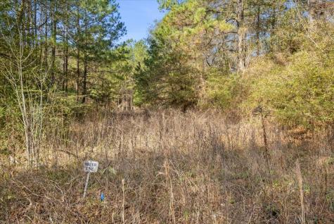 Tbd Cr 201 Road Plantersville TX 77363