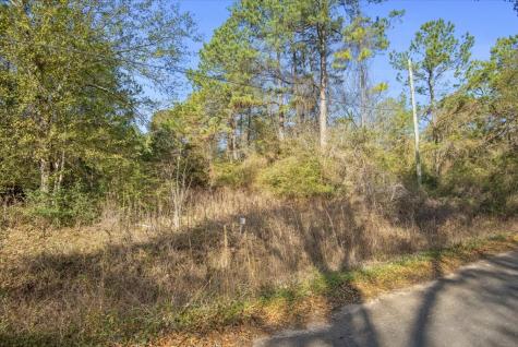 Tbd Cr 201 Road Plantersville TX 77363
