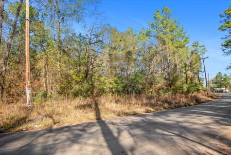 Tbd Cr 201 Road Plantersville TX 77363