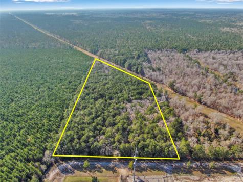 00 Pelican Road Shepherd TX 77371