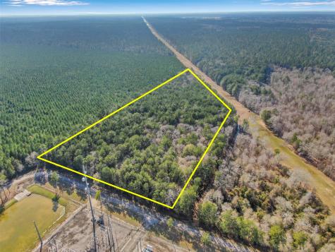 00 Pelican Road Shepherd TX 77371