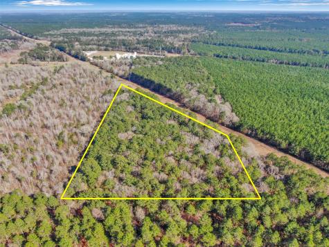00 Pelican Road Shepherd TX 77371