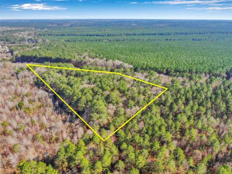 00 Pelican Road Shepherd TX 77371
