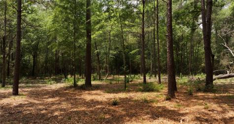 167-B Winchester Road Huntsville TX 77340