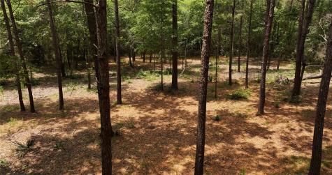 167-B Winchester Road Huntsville TX 77340