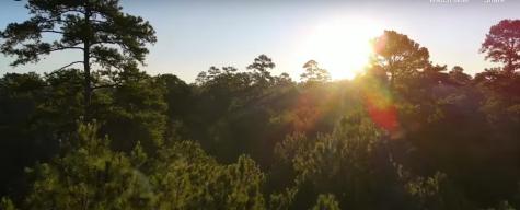 167-B Winchester Road Huntsville TX 77340